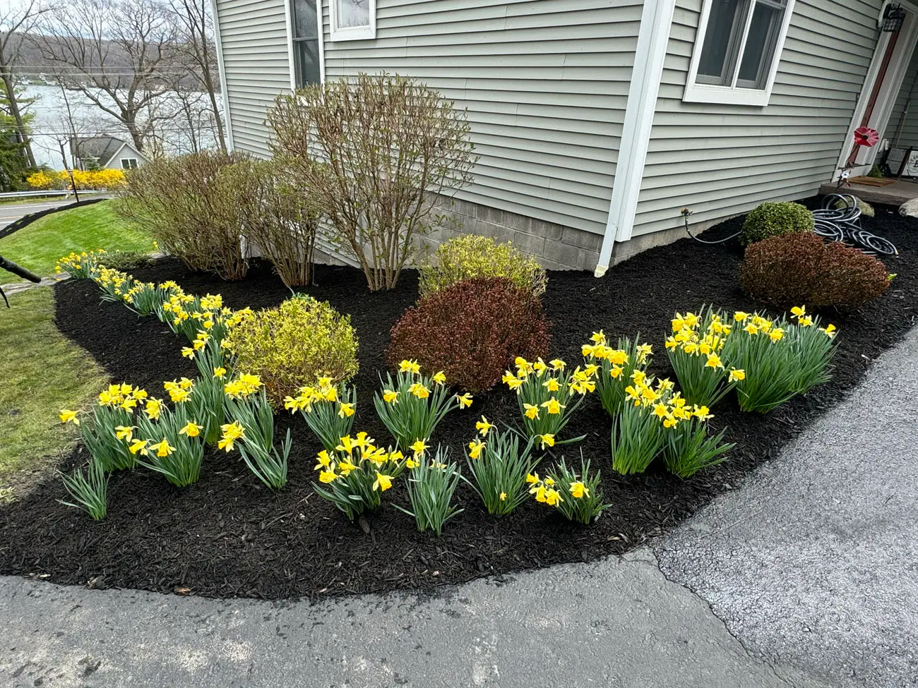 Freshly maintained lawn with clean edges and trimmed borders in Livonia, NY