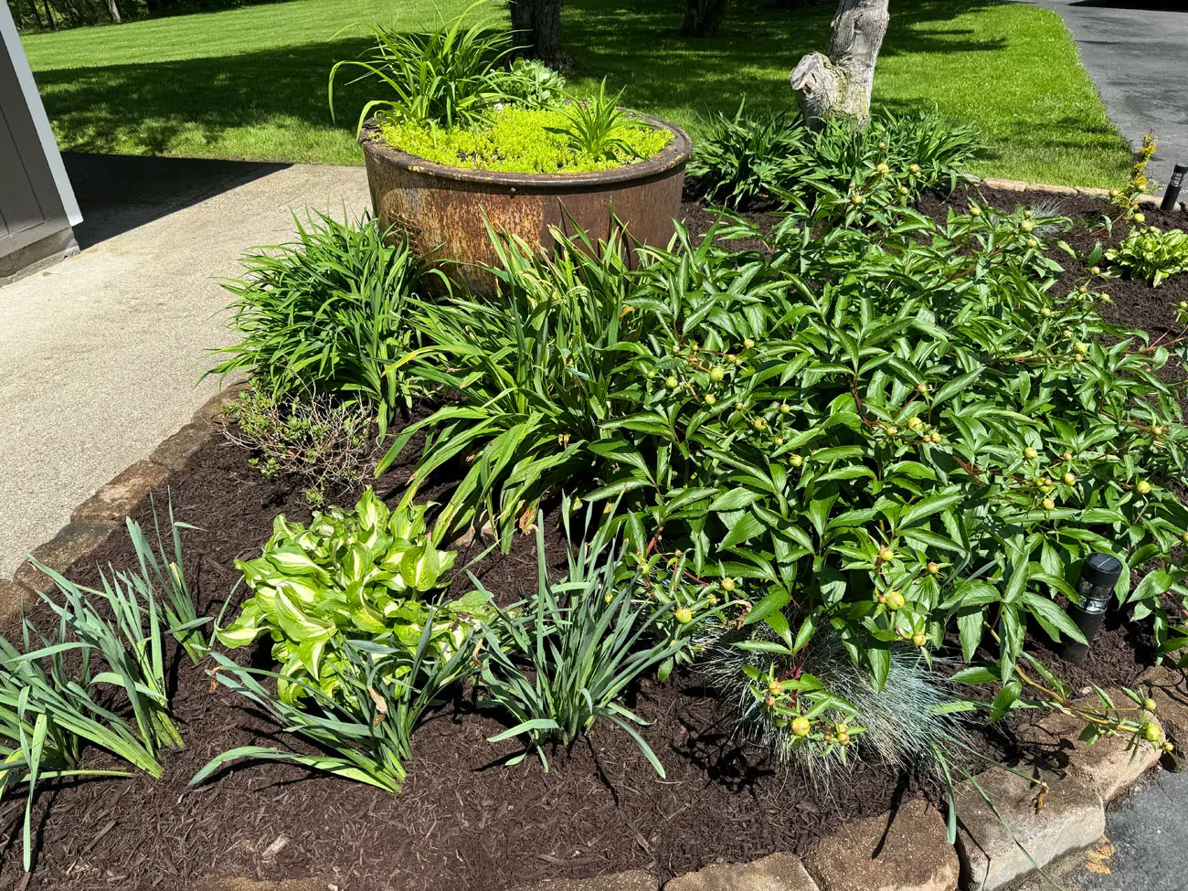 Lakeside cleanup removing debris from Conesus Lake shoreline property