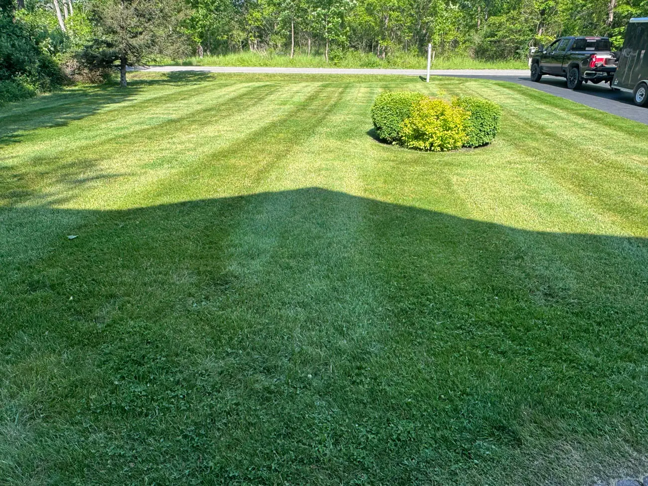 Professional weed control and garden bed maintenance