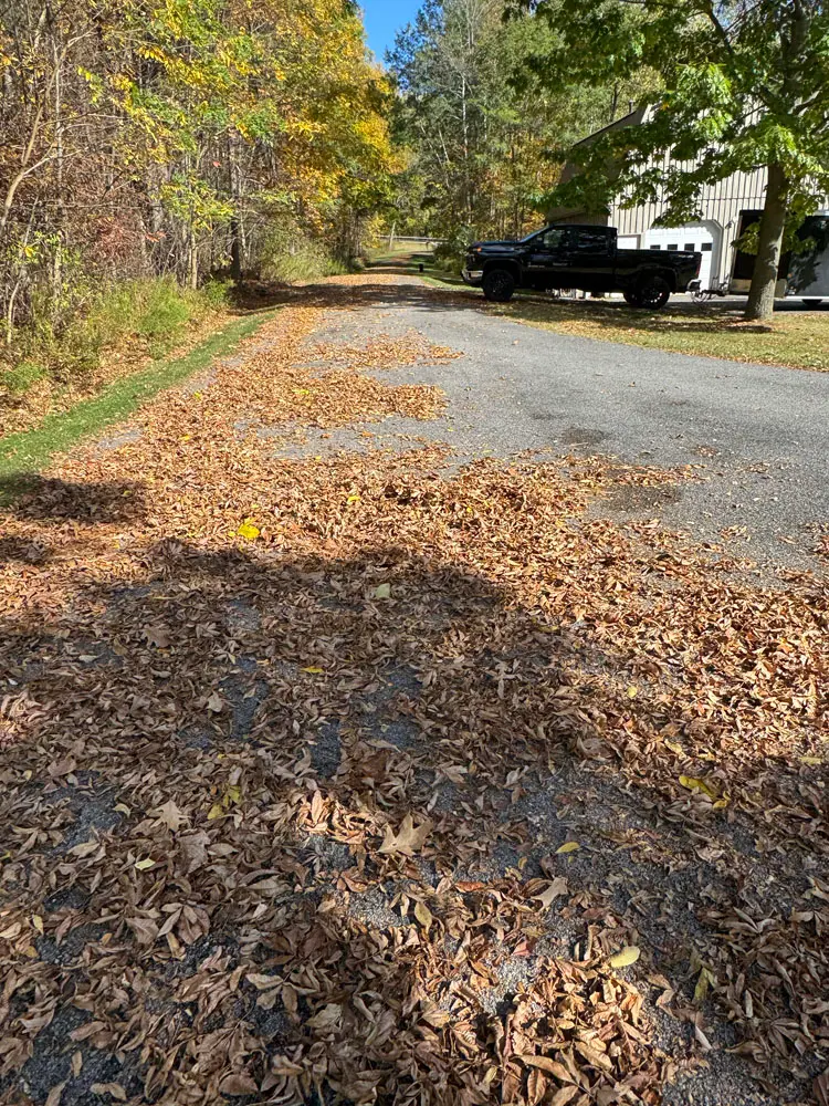 Tree, Brush & Trimming Services process